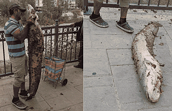 Kendi Boyunda Dev Yayın Balığını Eliyle Yakaladı! Silifke Göksu Nehri'nde İnanılmaz Anlar